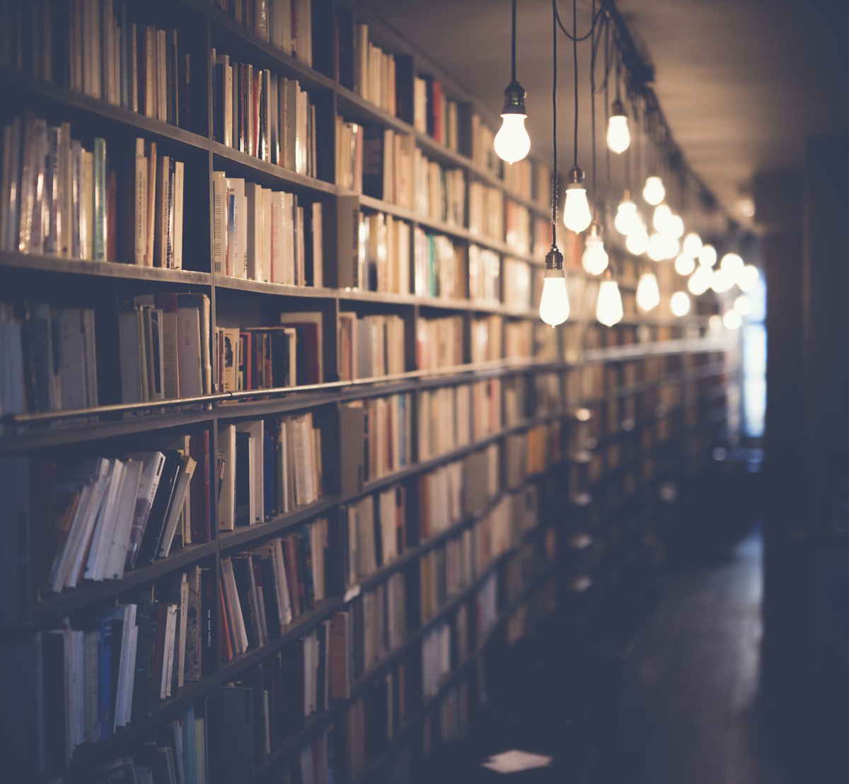 積ん読堂の店内