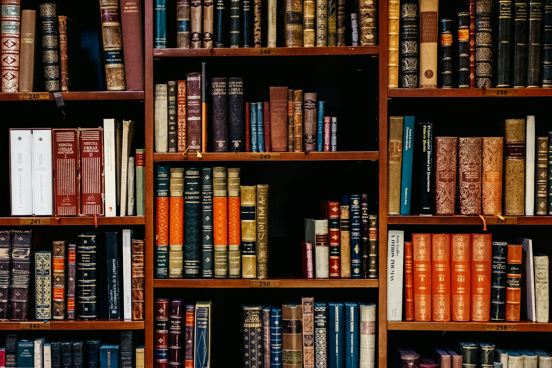 積ん読堂の店内